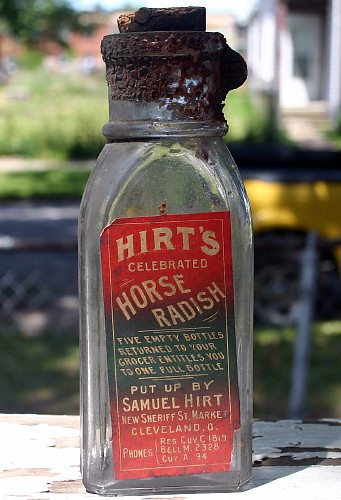 Hirt’s Horseradish