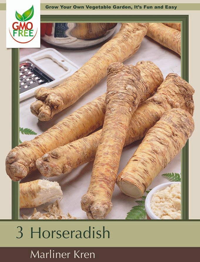 Bohemian Marliner Kren Horseradish – Hardy Perennial