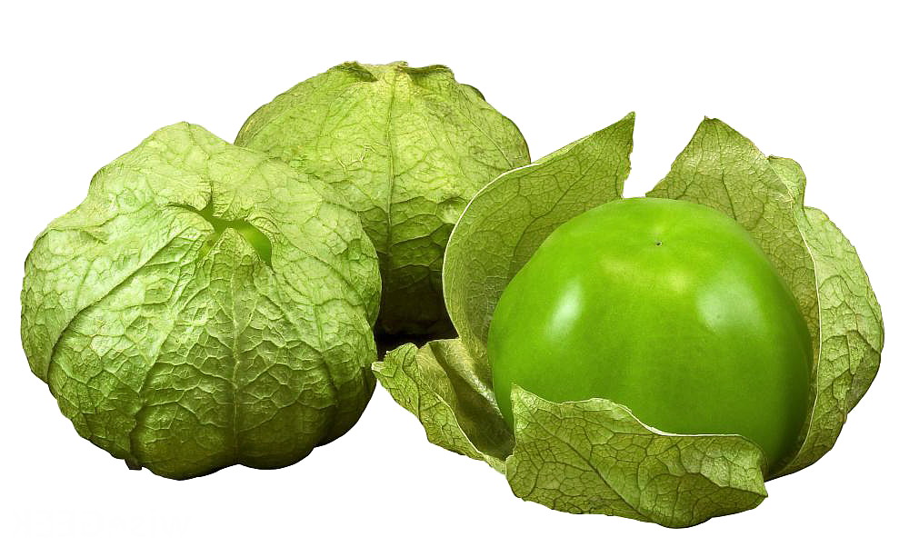 Tomatillo Plant – Husk Tomato. A Must Have in the Garden!