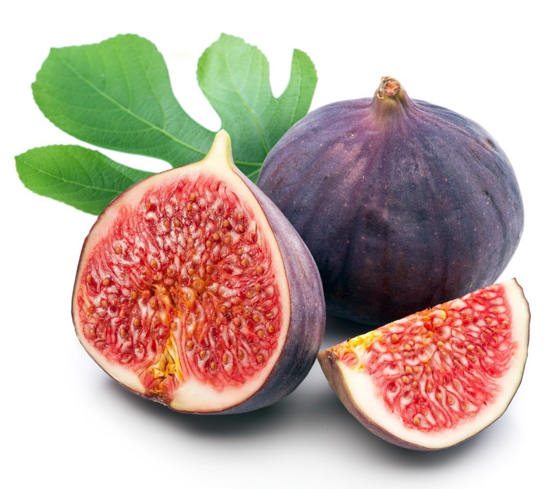 An Edible Fig to Grow Indoors or Out!